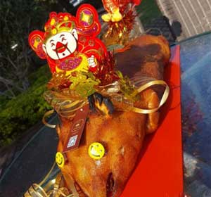 百福財神開年乳豬